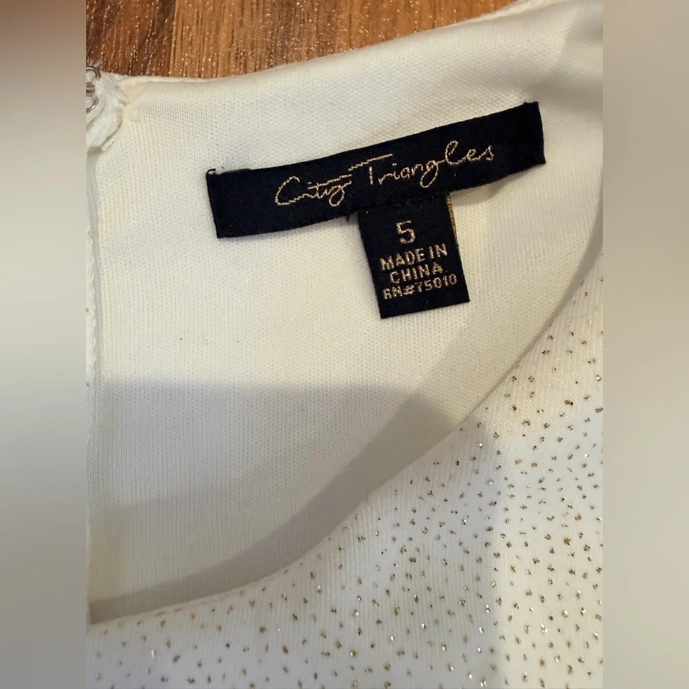 City Triangles White and Gold Dress - Picture 5 of 12